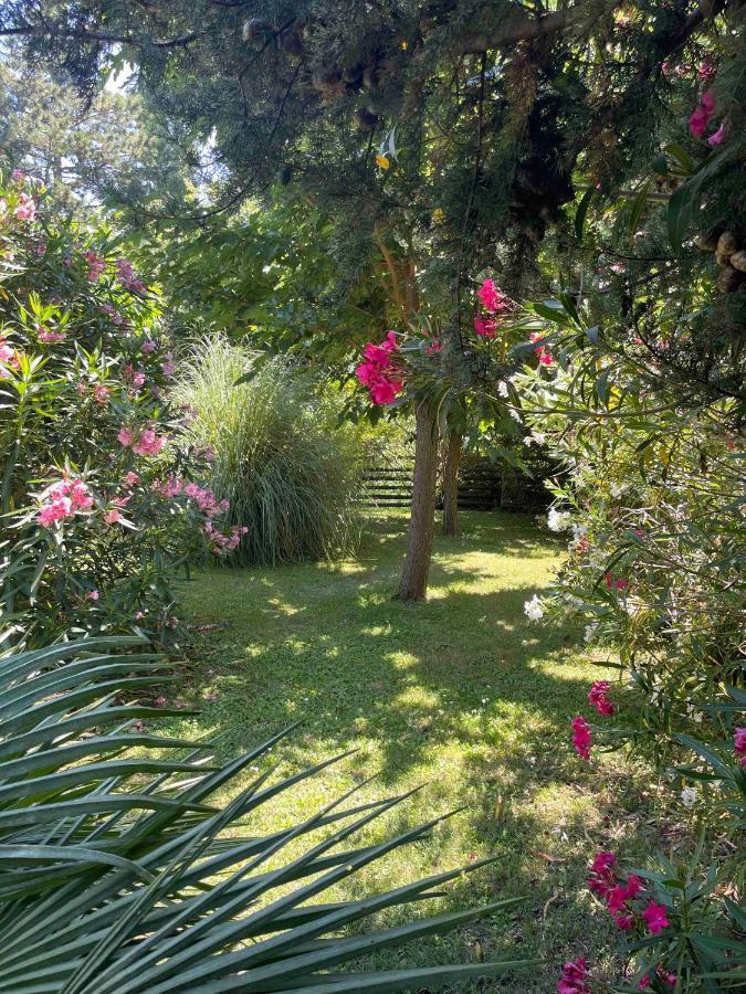 Gites Au Chateau Des Estubiers Les Granges-Gontardes Екстериор снимка